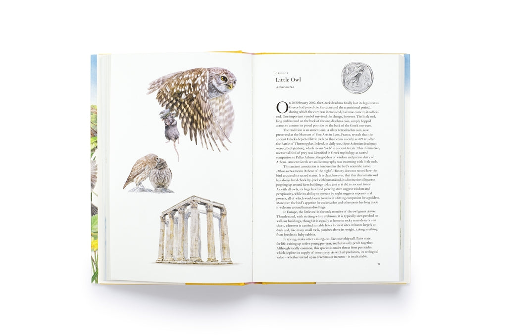 Around the World in 80 Birds by Mike Unwin, Ryuto Miyake