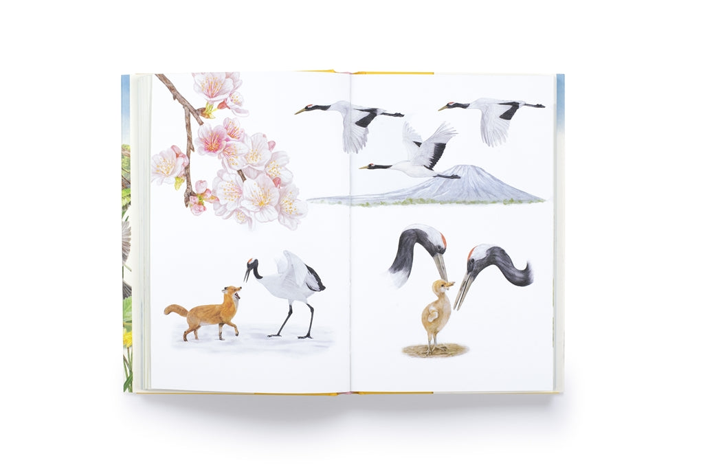 Around the World in 80 Birds by Mike Unwin, Ryuto Miyake