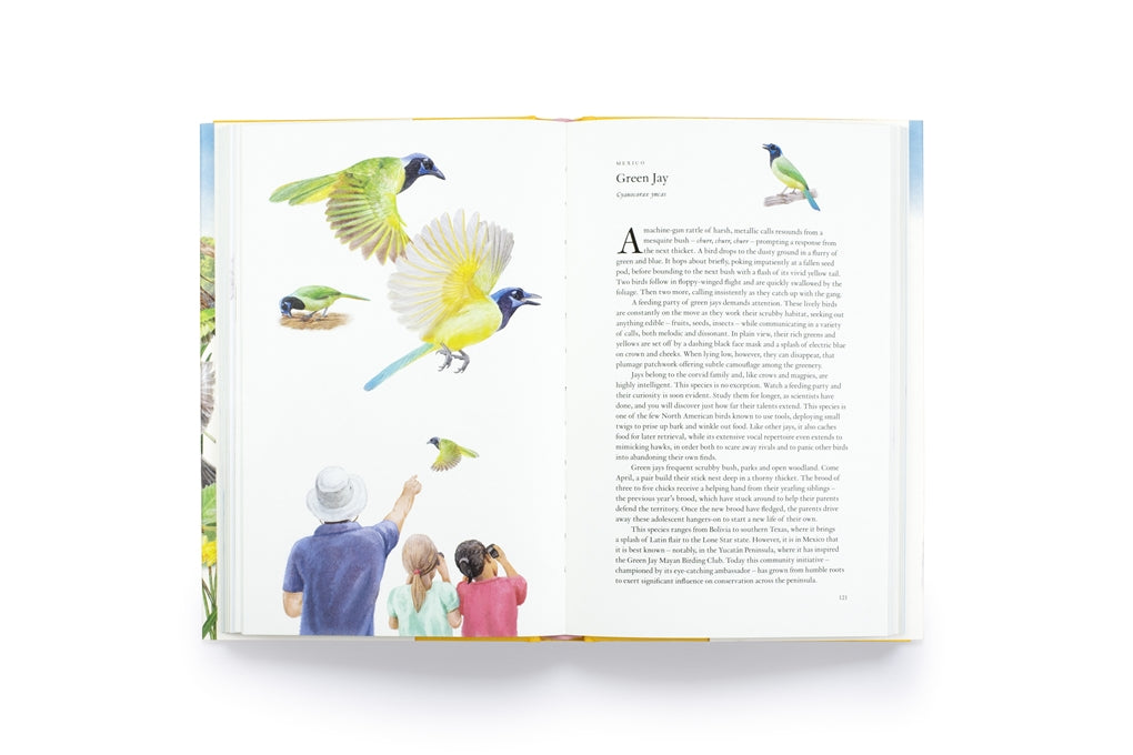 Around the World in 80 Birds by Mike Unwin, Ryuto Miyake