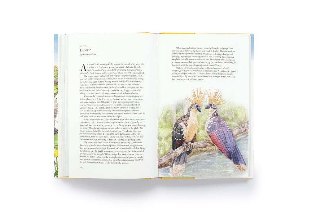 Around the World in 80 Birds by Mike Unwin, Ryuto Miyake