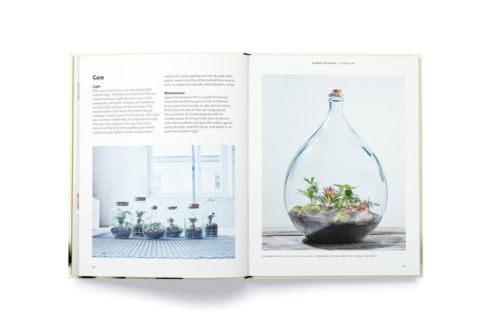 How to plant a room by Morgan Doane, Erin Harding