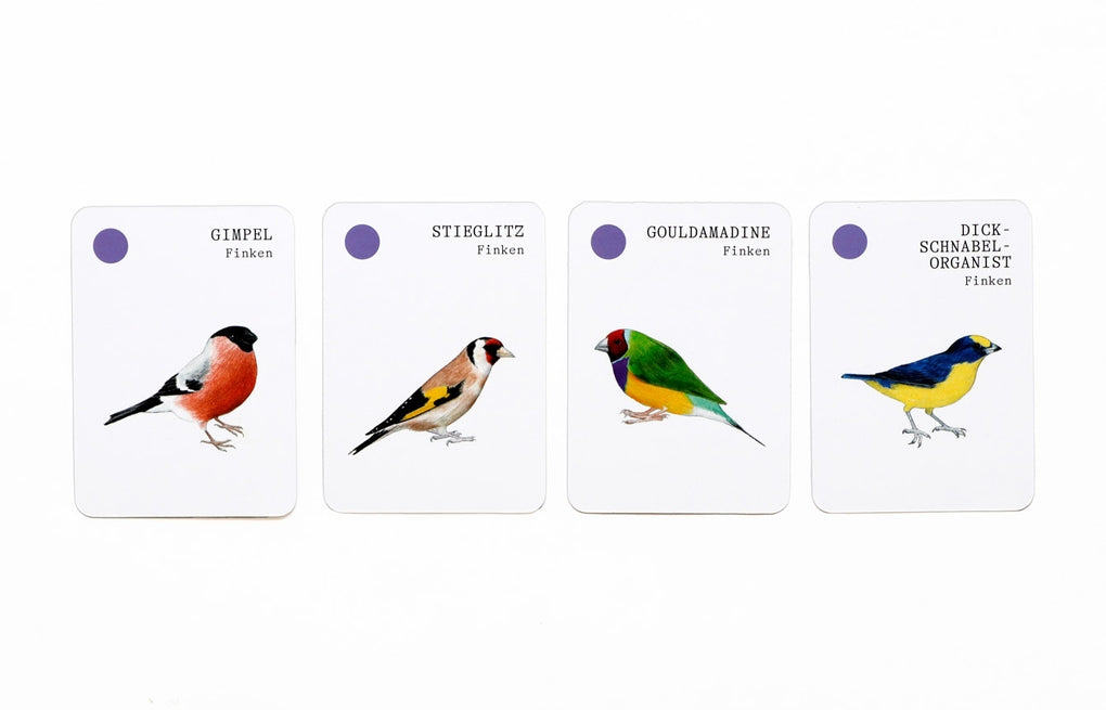 Bird Families by Mike Unwin, Christine Berrie