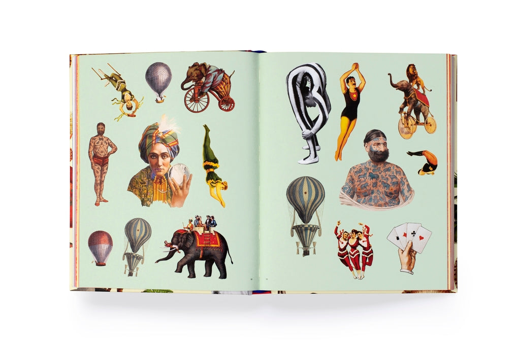 Extraordinary Things Sticker Book by Maria Rivans