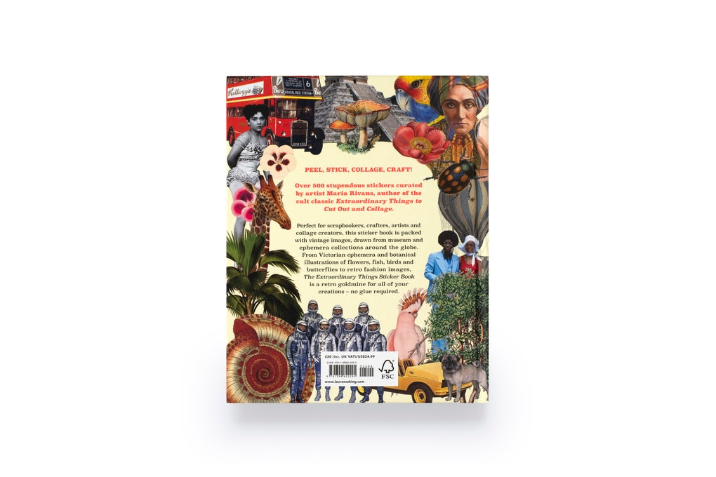 Extraordinary Things Sticker Book by Maria Rivans