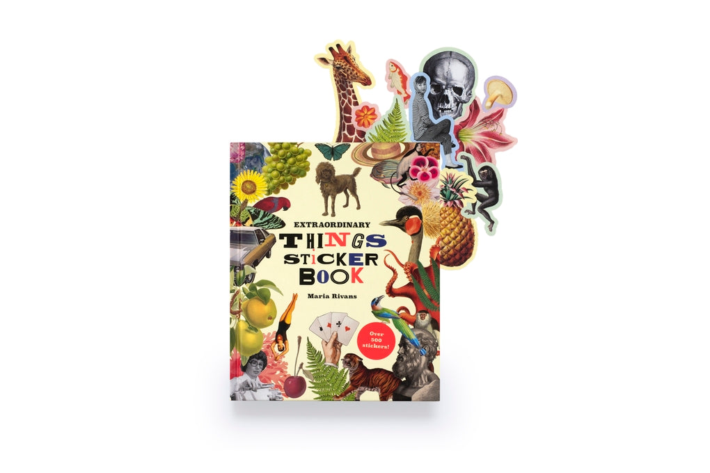 Extraordinary Things Sticker Book by Maria Rivans