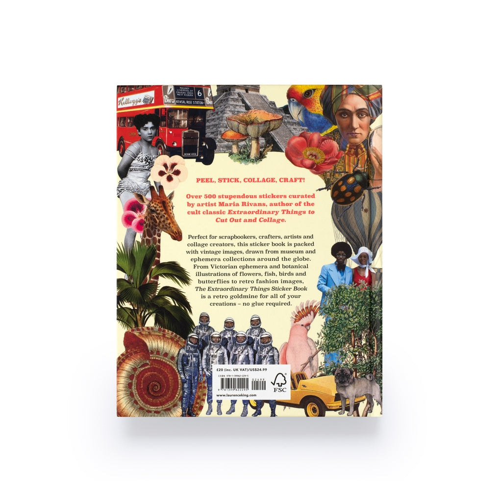 Extraordinary Things Sticker Book by Maria Rivans