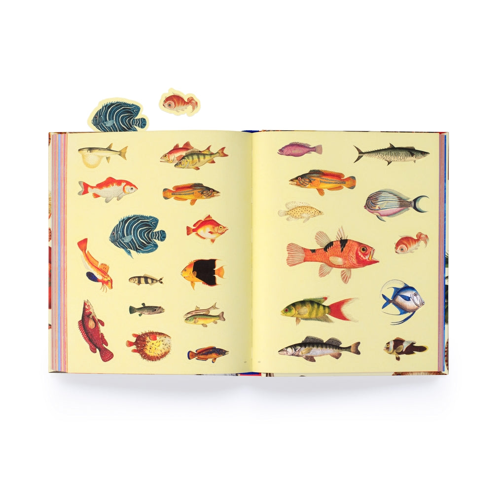 Extraordinary Things Sticker Book by Maria Rivans