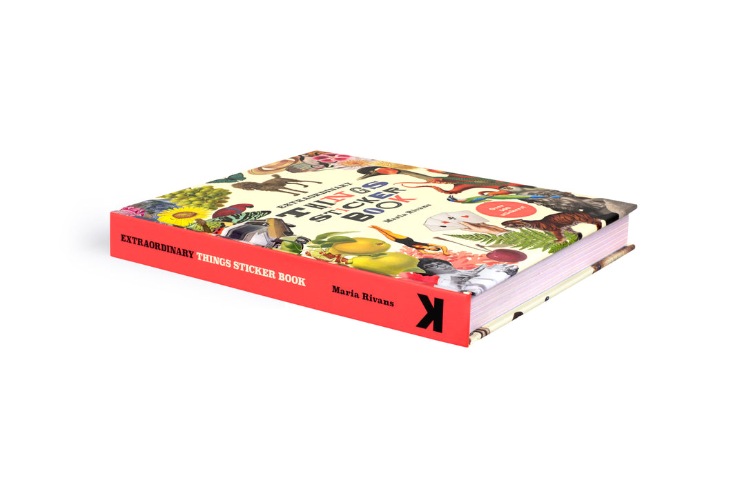 Extraordinary Things Sticker Book