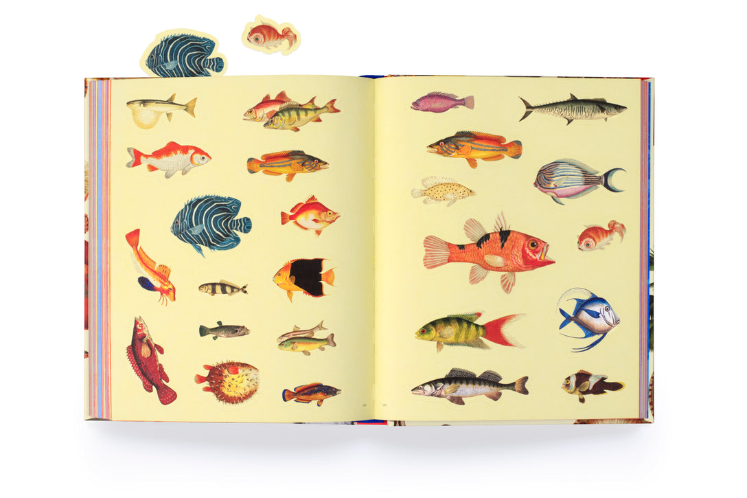 Extraordinary Things Sticker Book