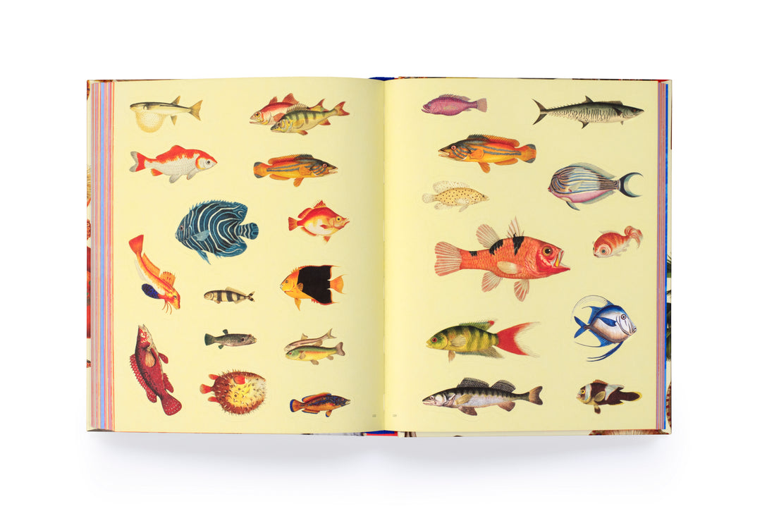 Extraordinary Things Sticker Book