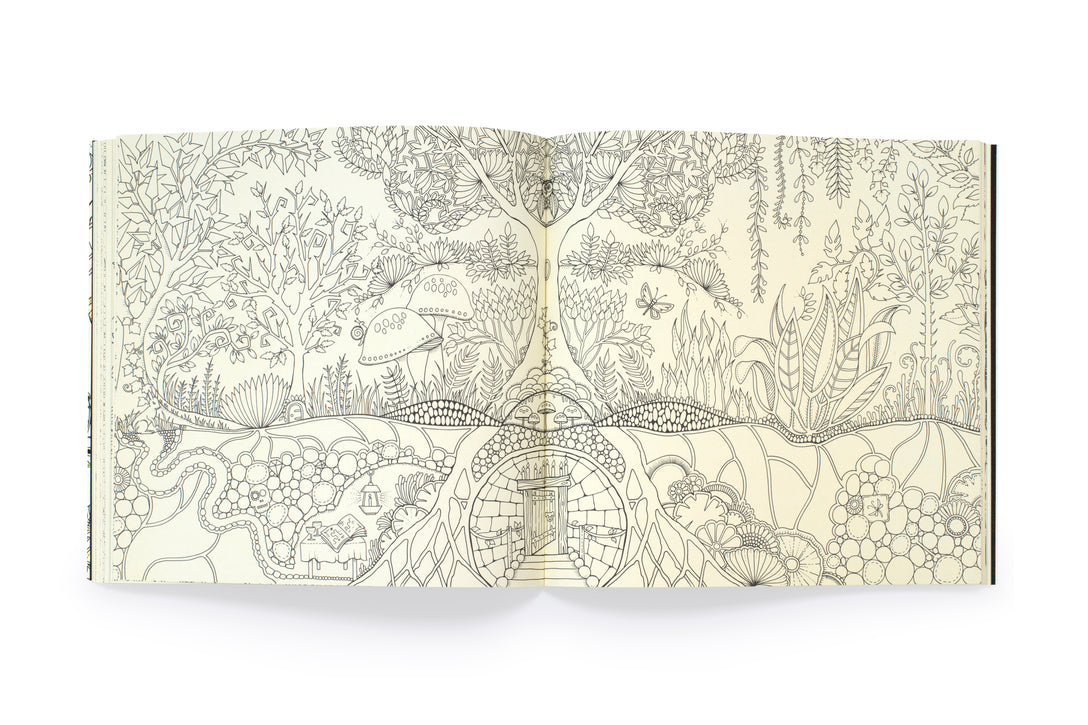 Enchanted Forest
