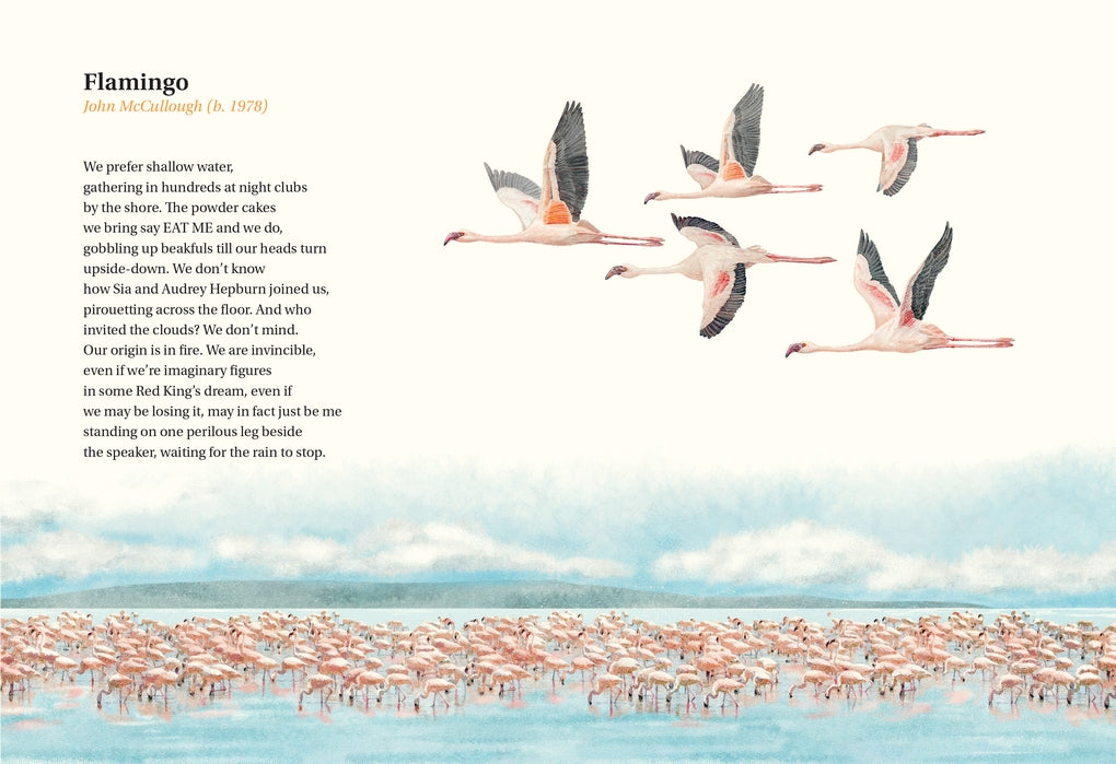 The Book of Bird Poems by Ana Sampson, Ryuto Miyake