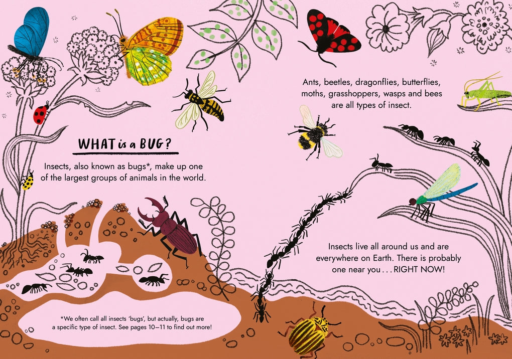 Little Guides to Nature: Hello Bugs by Nina Chakrabarti