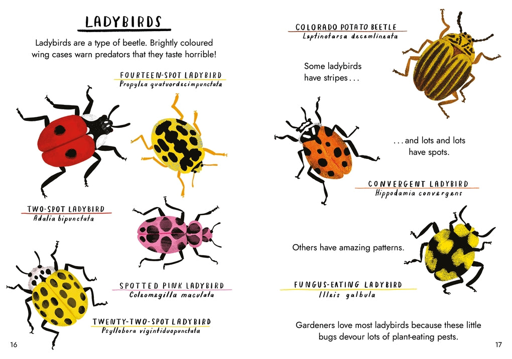 Little Guides to Nature: Hello Bugs by Nina Chakrabarti