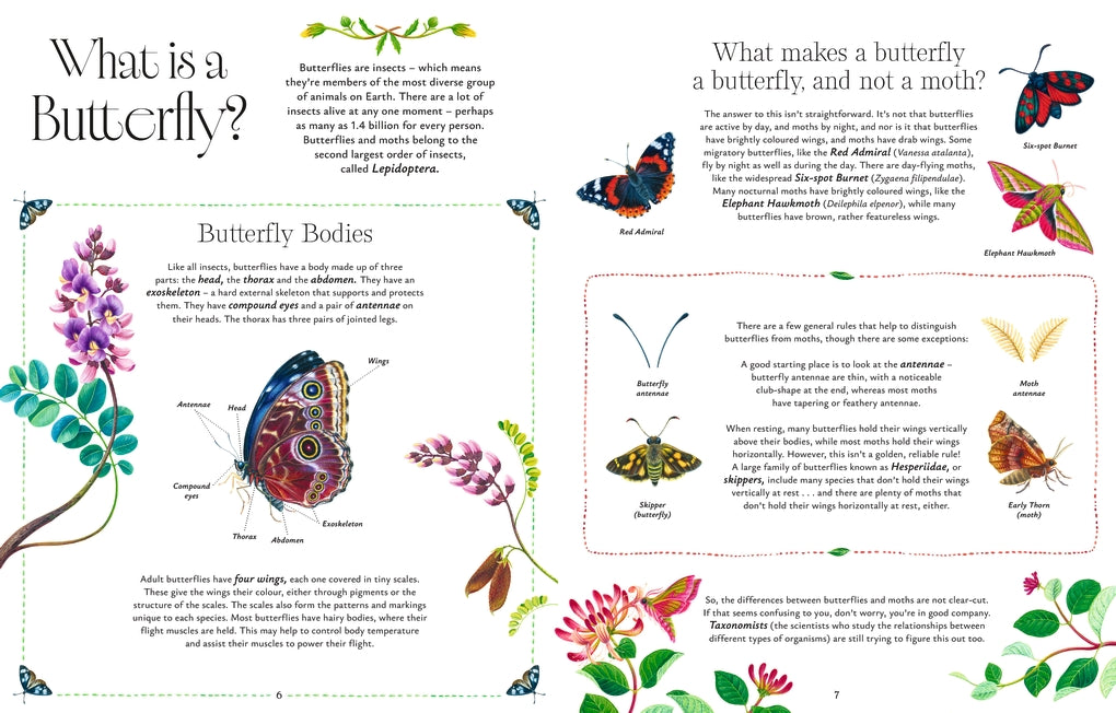 Butterflies by Jon Dunn, Georgina Taylor