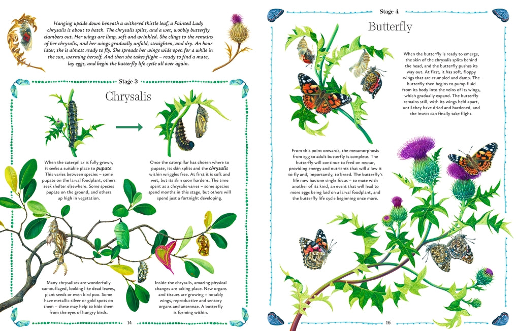 Butterflies by Jon Dunn, Georgina Taylor