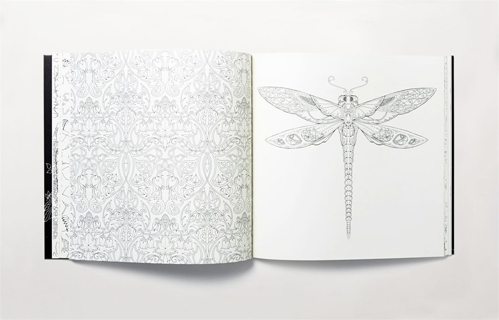 Enchanted Forest by Johanna Basford