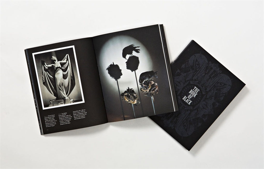 The Book of Black by Faye Dowling
