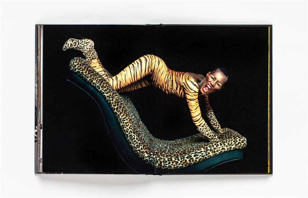 Leopard by Hilary Alexander