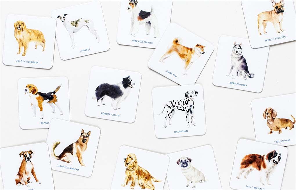 Dog Coasters by Laurence King Publishing