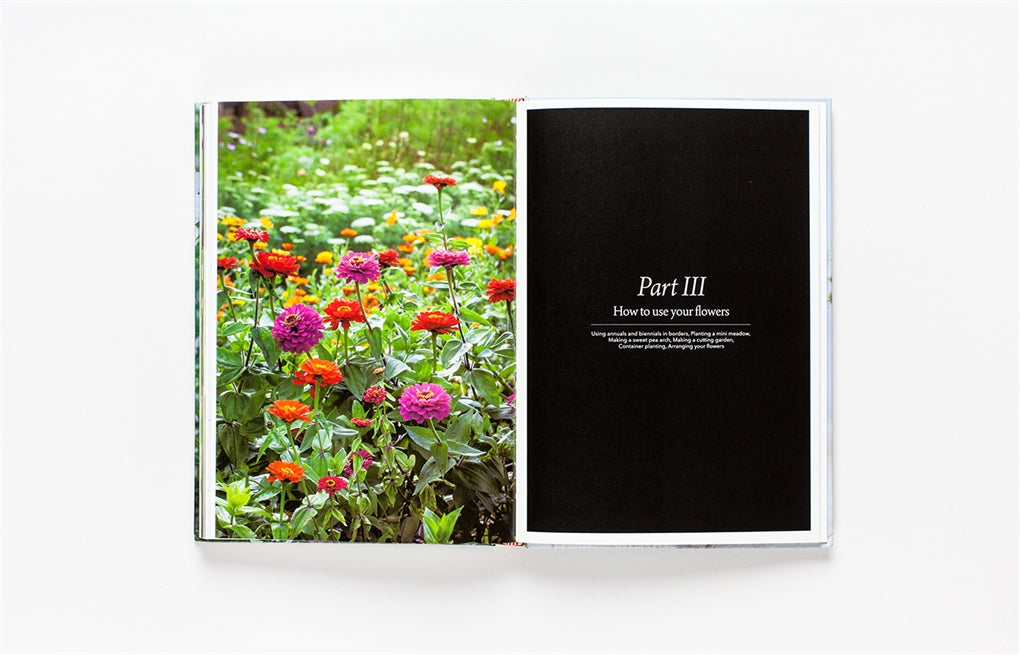 The Flower Garden by Clare Foster, Sabina Rüber