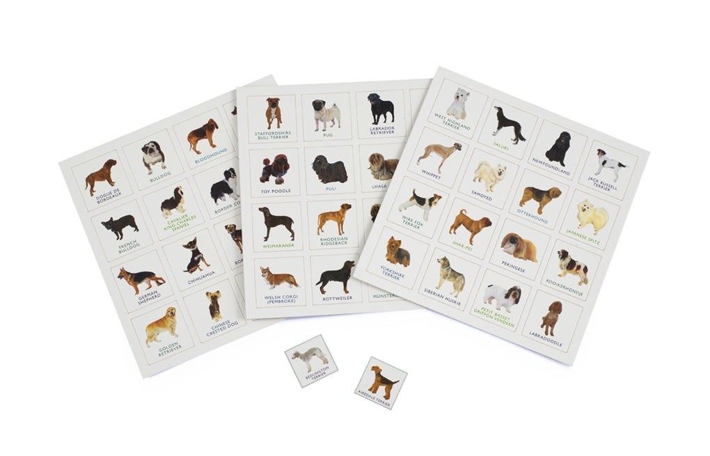 Dog Bingo by Polly Horner, Laurence King Publishing