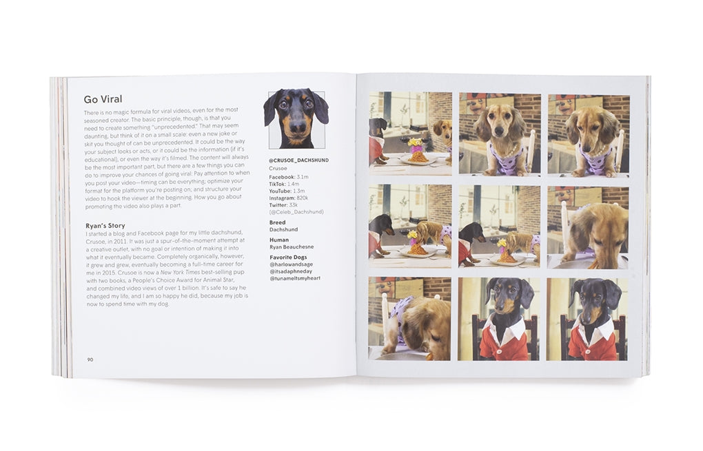 How To Make Your Dog #Famous by Loni Edwards