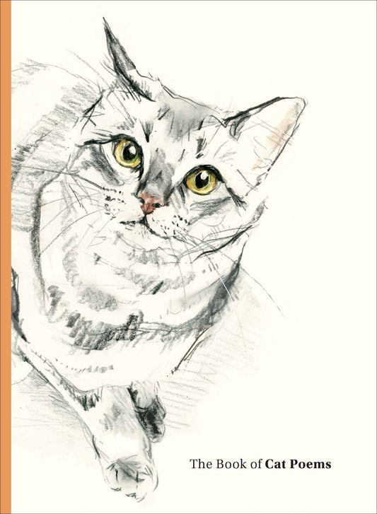 The Book of Cat Poems by Sarah Maycock, Ana Sampson