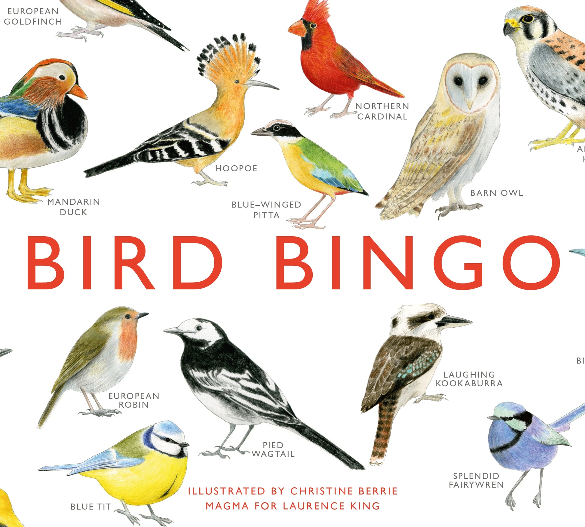 Bird Bingo by Christine Berrie, Laurence King Publishing