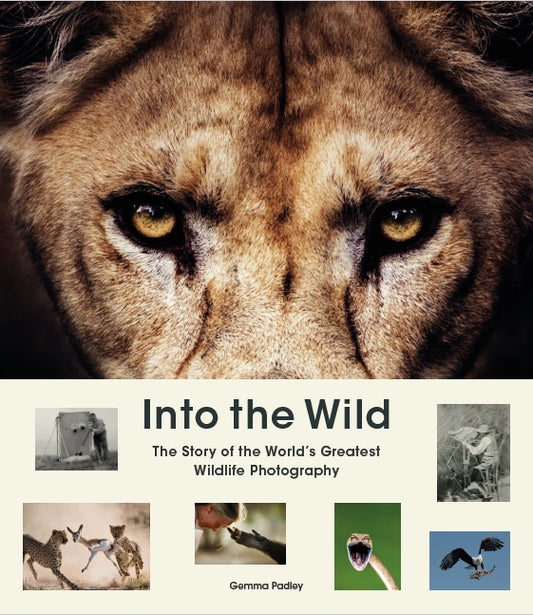 Into the Wild by Gemma Padley
