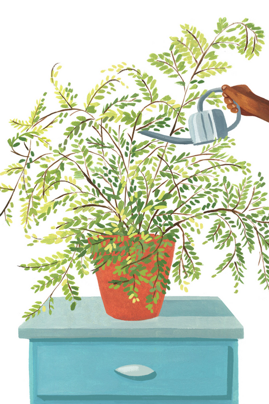 Plantfulness ASMR with artist Julie Rose Bower