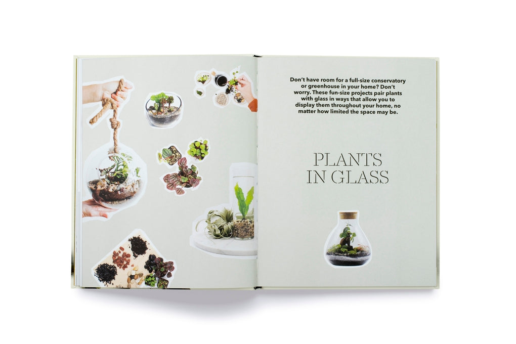 How to plant a room by Morgan Doane, Erin Harding
