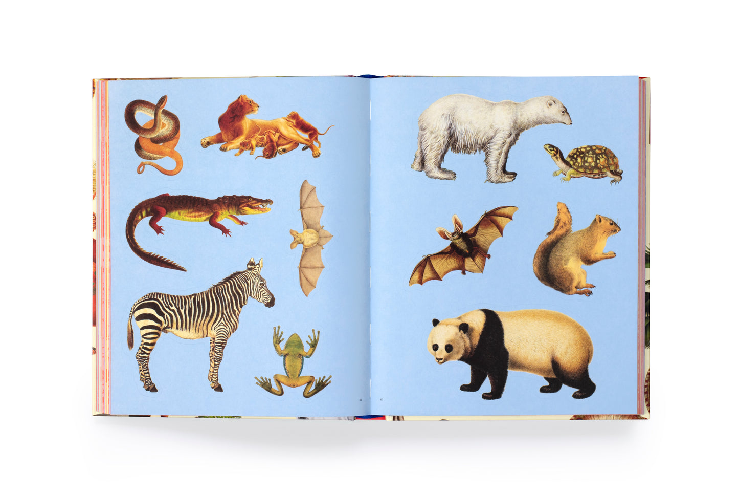 Extraordinary Things Sticker Book