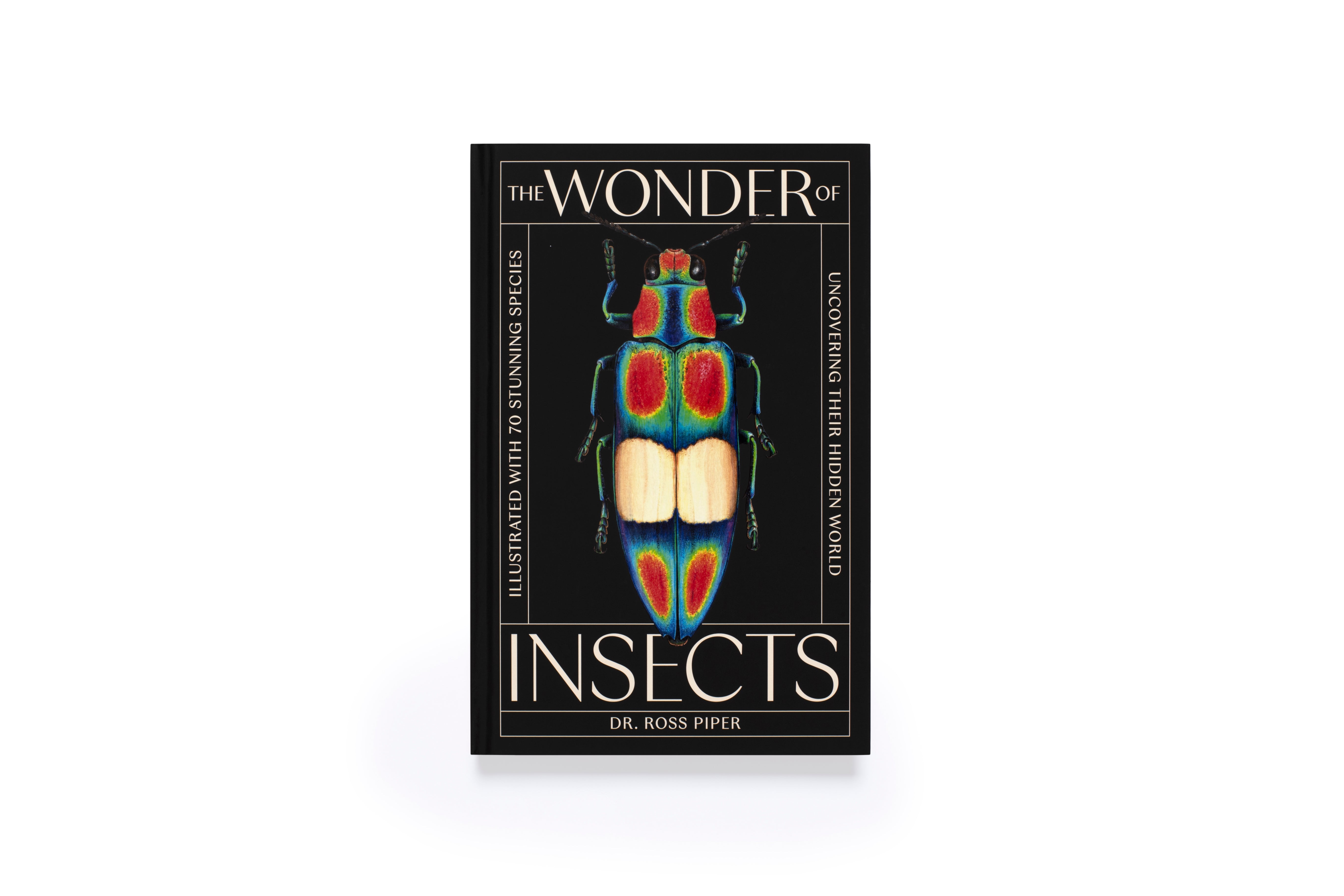 The Wonder of Insects: Uncovering their Hidden World | Laurence