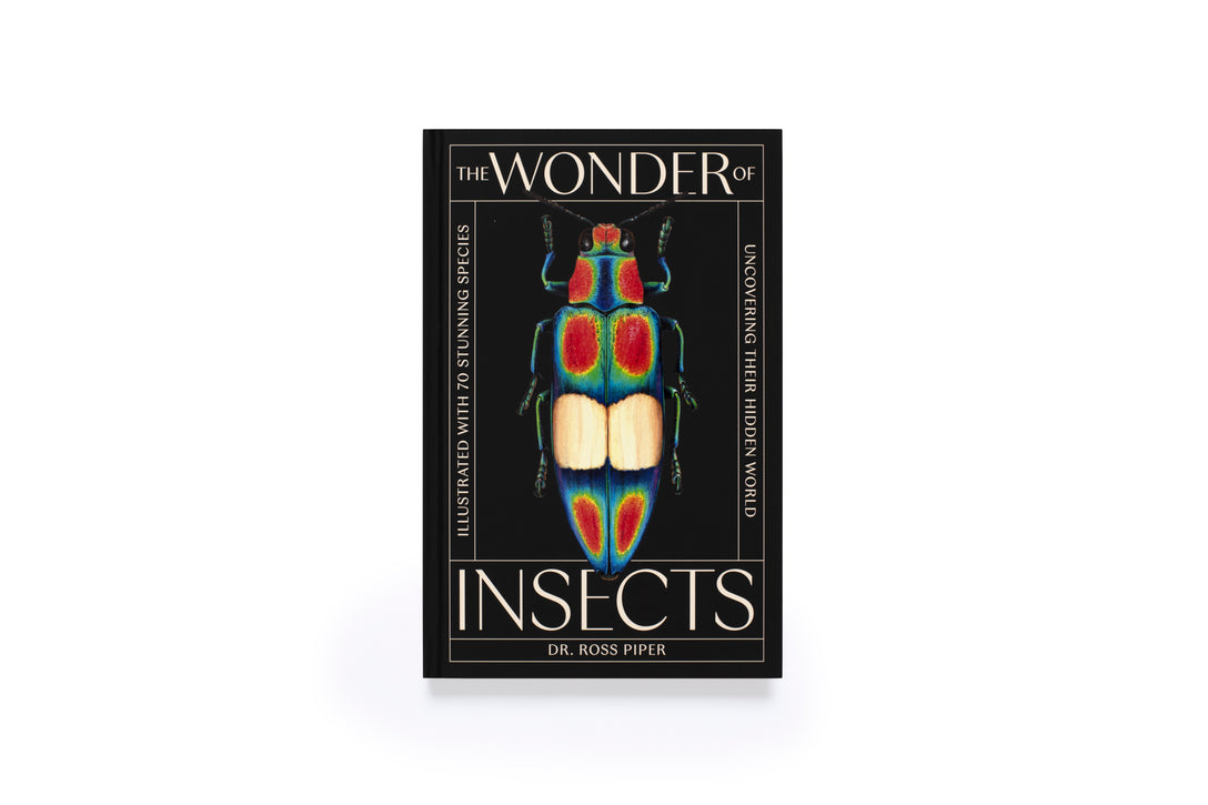 The Wonder of Insects: Uncovering their Hidden World