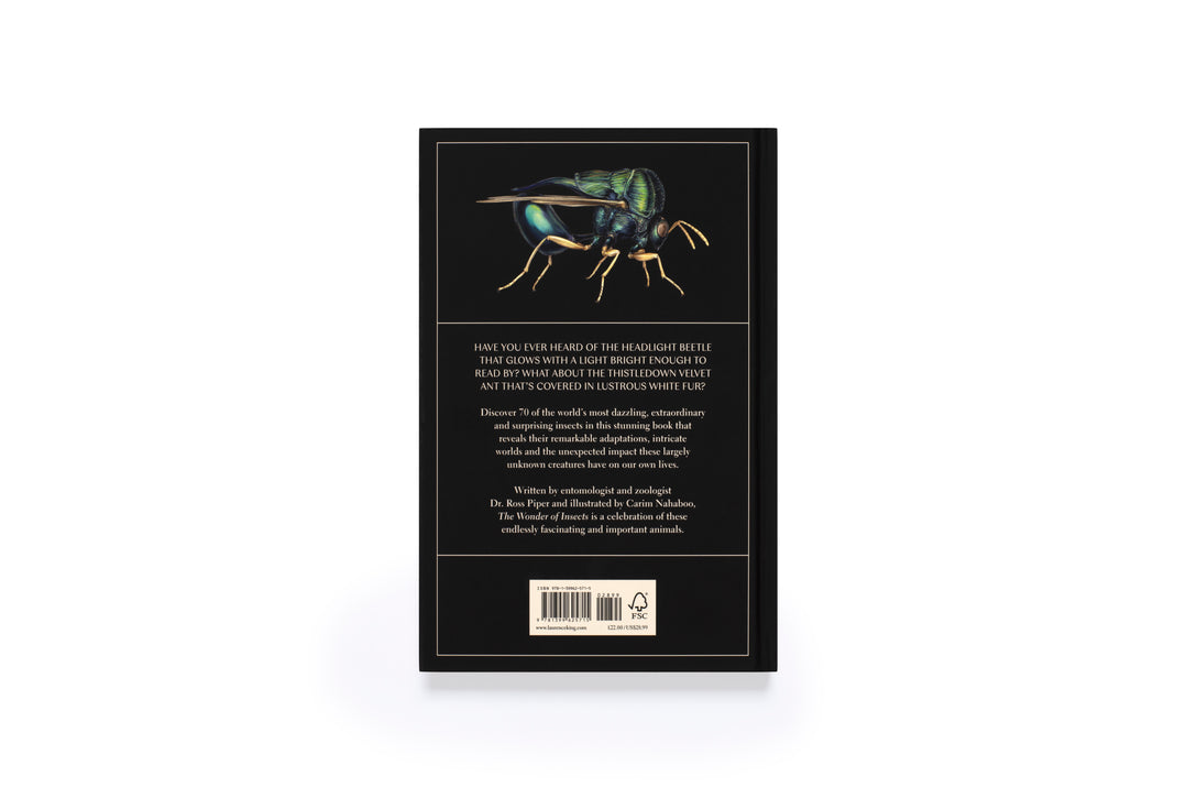 The Wonder of Insects: Uncovering their Hidden World