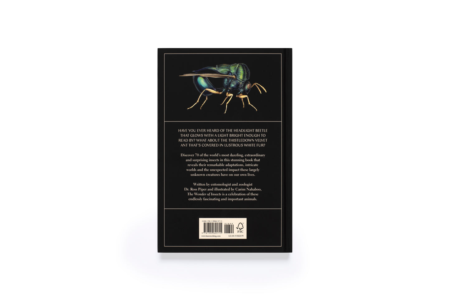 The Wonder of Insects: Uncovering their Hidden World