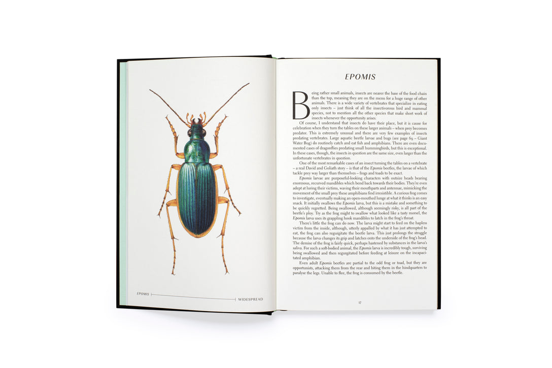 The Wonder of Insects: Uncovering their Hidden World