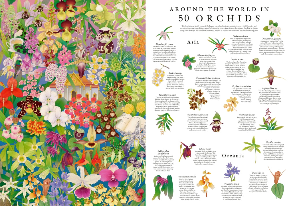Around the World in 50 Orchids | Laurence King Publishing UK