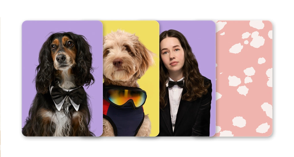 Do You Dress Like Your Dog? by Gerrard Gethings