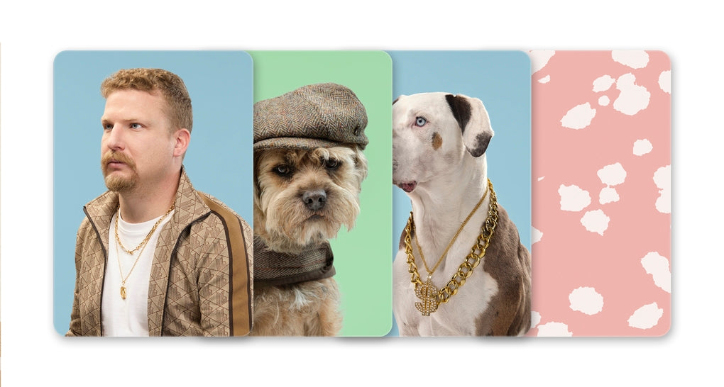 Do You Dress Like Your Dog? by Gerrard Gethings