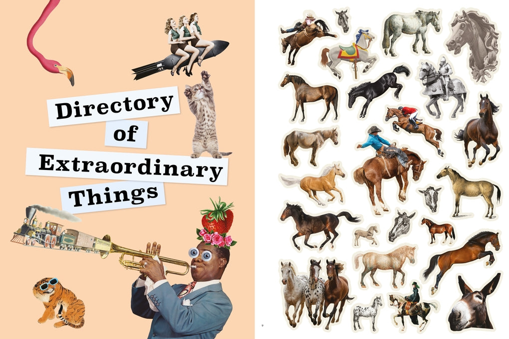 A Whole Lot More Extraordinary Things to Cut Out and Collage by Susie Hodge