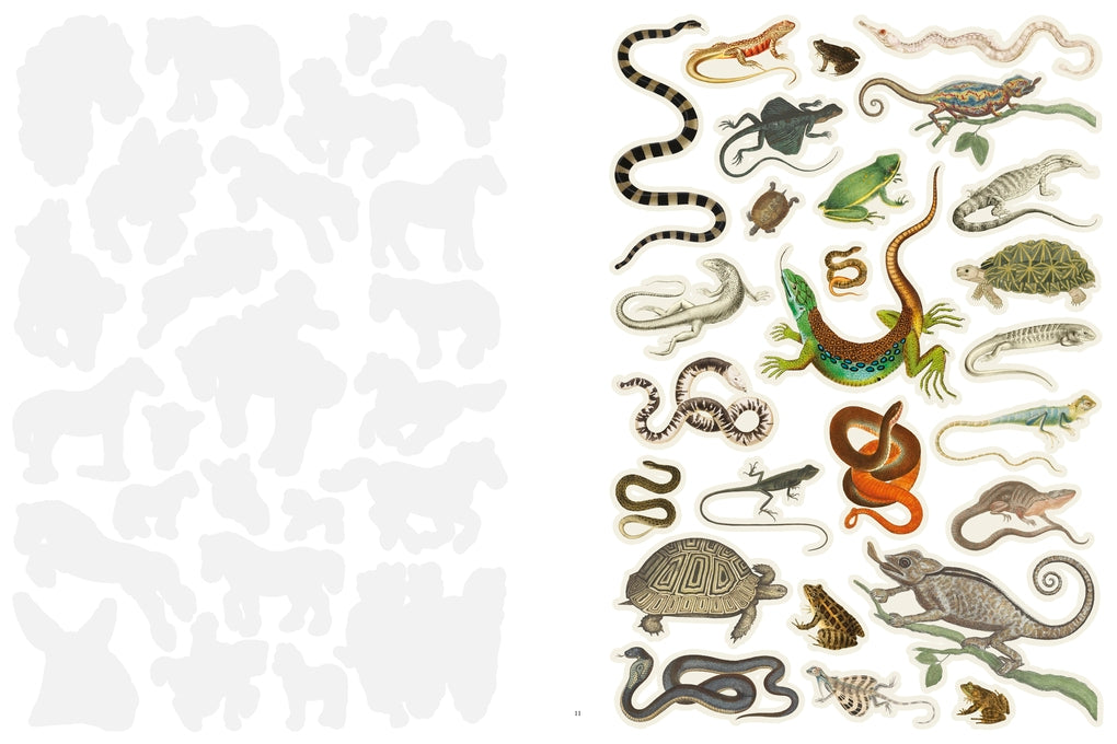 A Whole Lot More Extraordinary Things to Cut Out and Collage by Susie Hodge