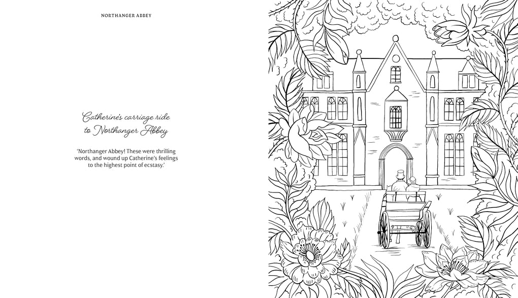 The World of Jane Austen Colouring Book by Eleanor Taylor, Eleanor Taylor