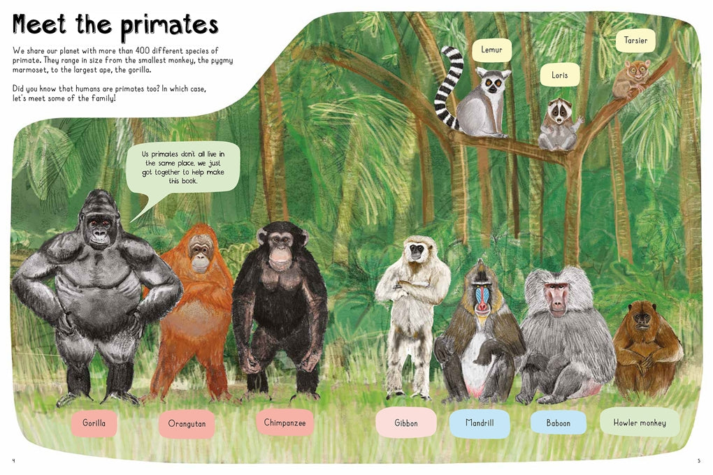 A Book of Monkeys (and other Primates) by Katie Viggers