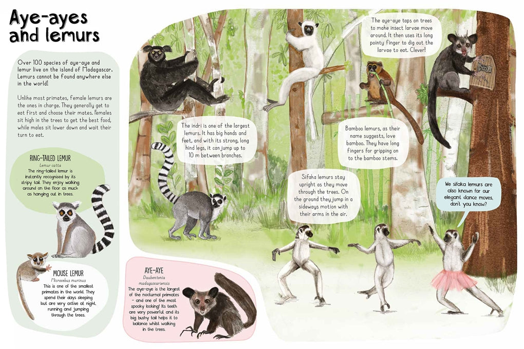 A Book of Monkeys (and other Primates) by Katie Viggers