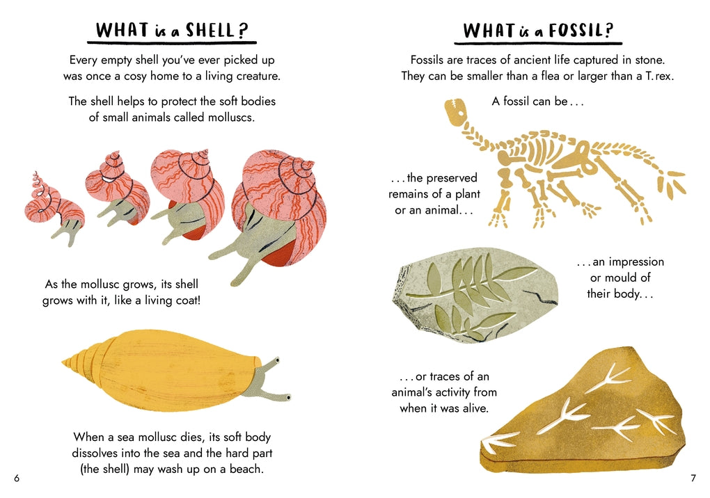 Little Guides to Nature: Hello Fossils and Shells by Nina Chakrabarti