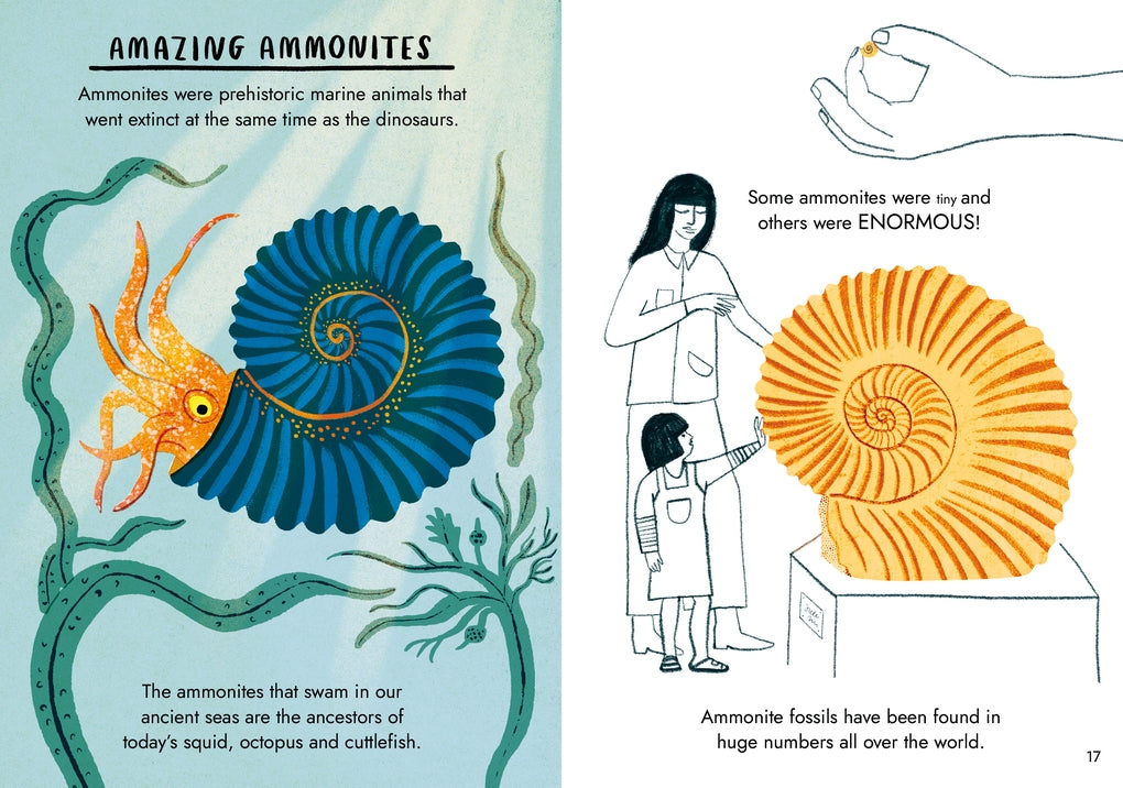 Little Guides to Nature: Hello Fossils and Shells by Nina Chakrabarti