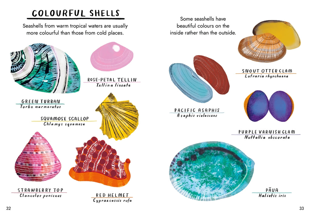 Little Guides to Nature: Hello Fossils and Shells by Nina Chakrabarti