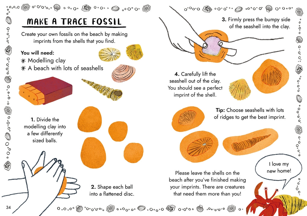 Little Guides to Nature: Hello Fossils and Shells by Nina Chakrabarti